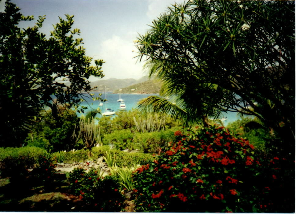 View from Marina Cay