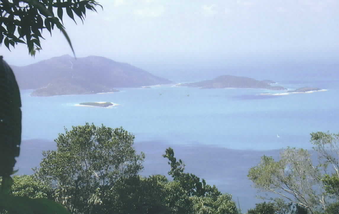 The view from Tortola's Mt. Sage